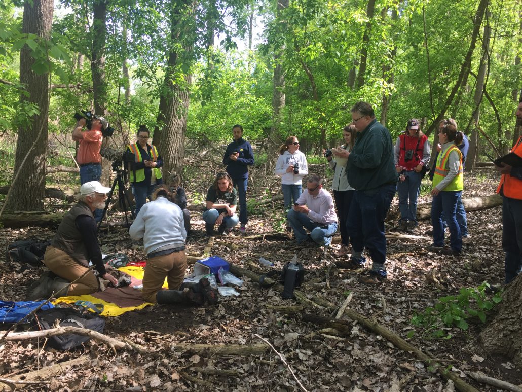 Eaglets get their wellbaby checkup at DTE Energy's Belle River power