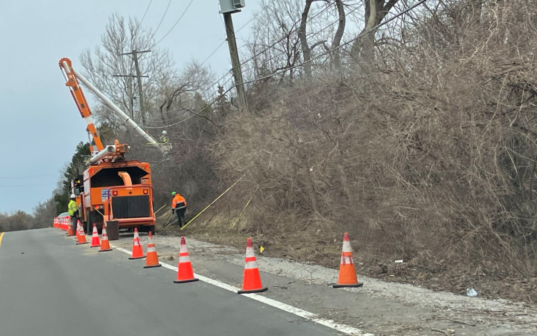 Tree trim crews at work in West Birmingham