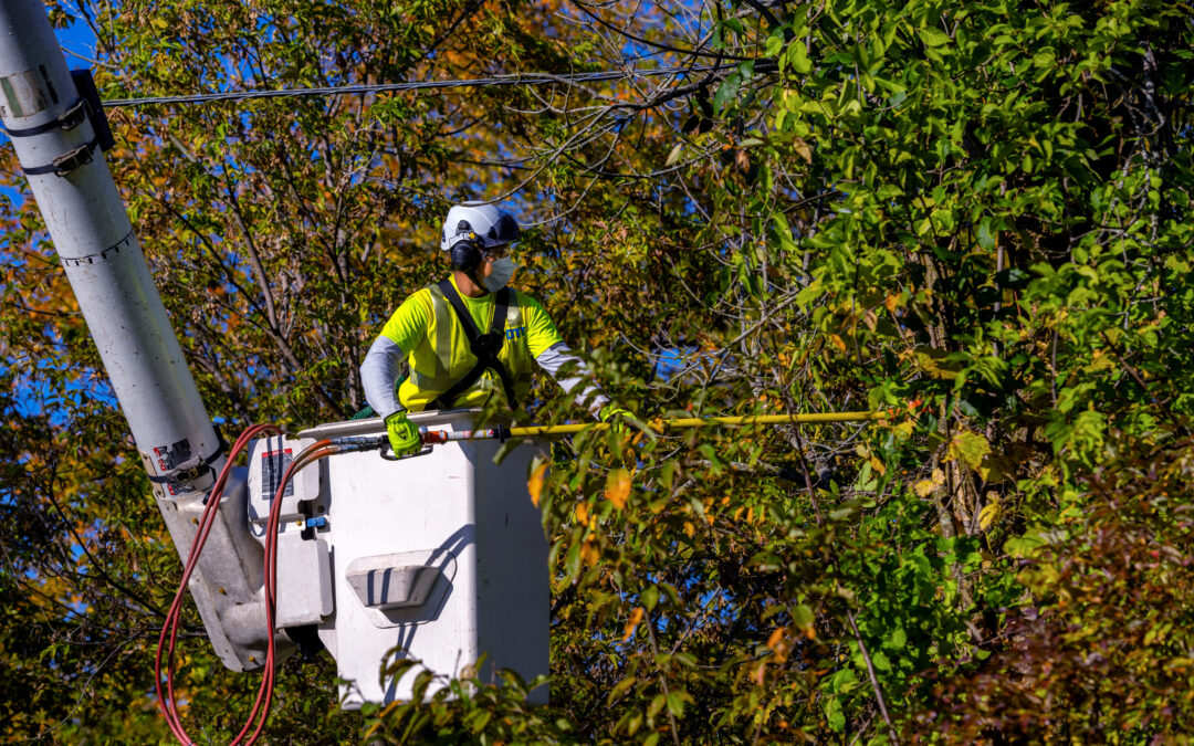 man in yellow vest and helmet in bucket truck trimming tree branches