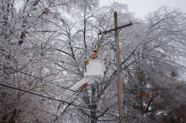 Trimming Trees: The DTE four-point plan at work in Oakland County ...