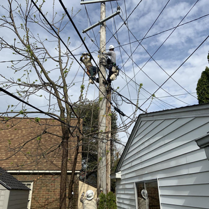 Electric upgrades improve reliability for customers by almost 100%