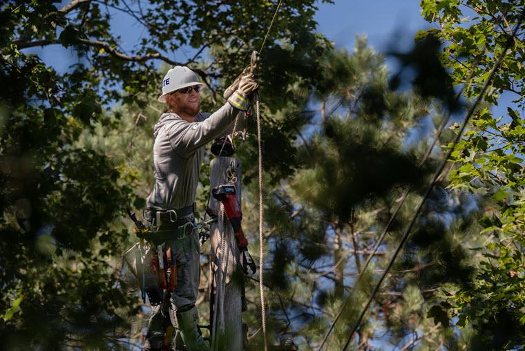 DTE worker working on power lines in trees
