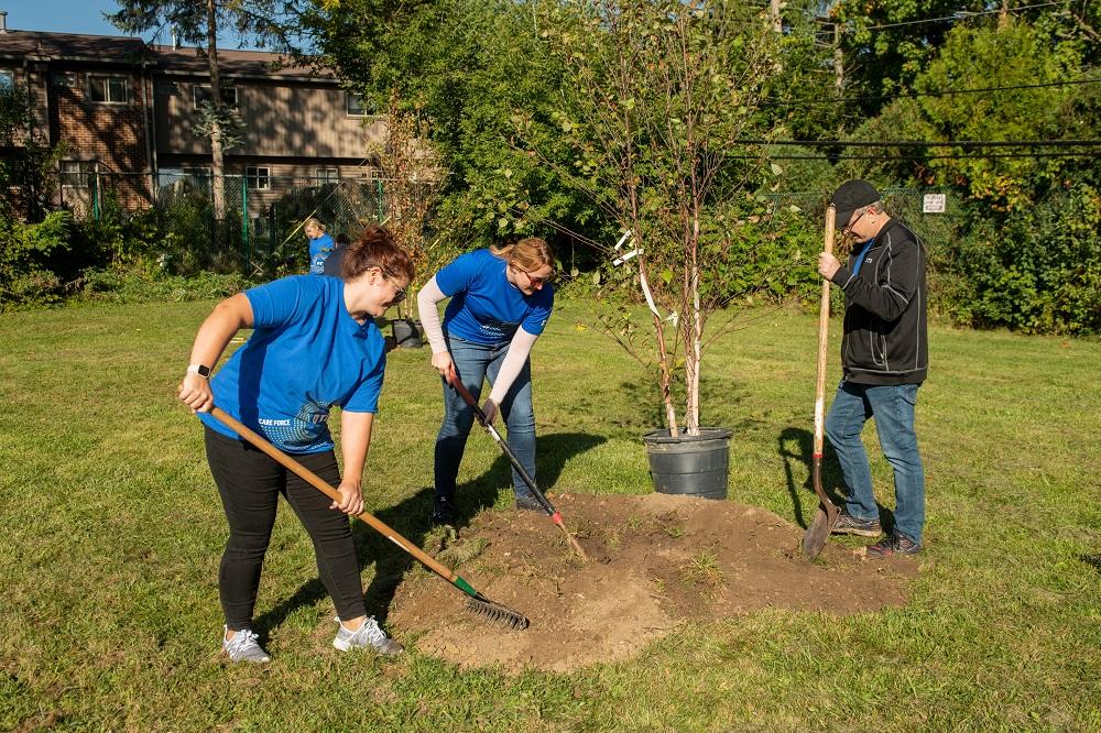 Washtenaw County: Help plant trees in your county!