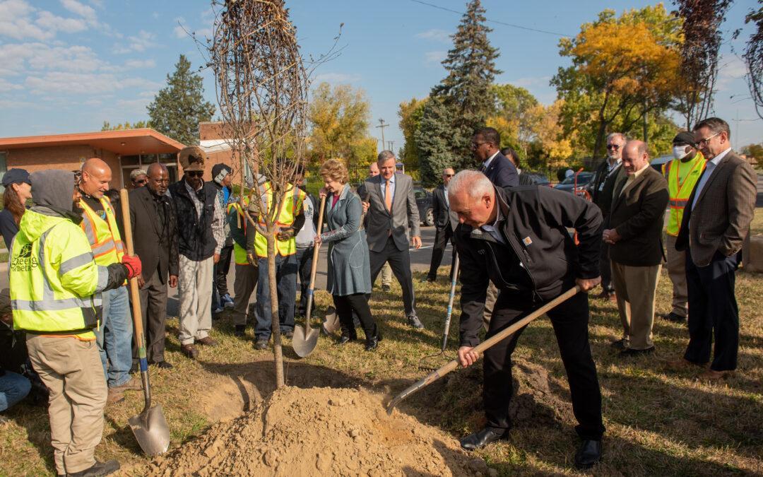 Detroit Tree Equity Partnership aims to go from blight to beauty
