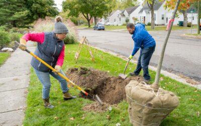 Finishing fall yard work? Stay safe with these electric safety tips