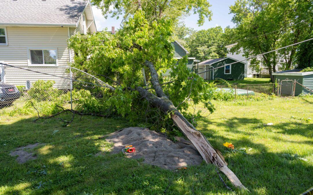 Weathering summer storms