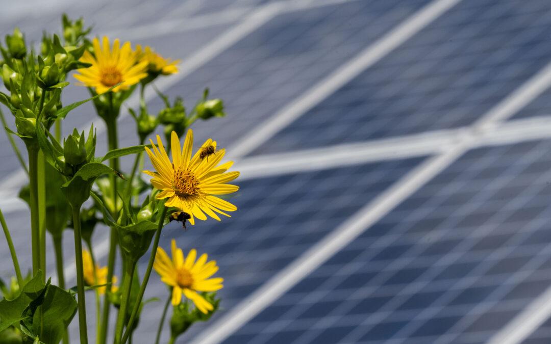 Our CleanVision can help you protect the environment this Earth Month