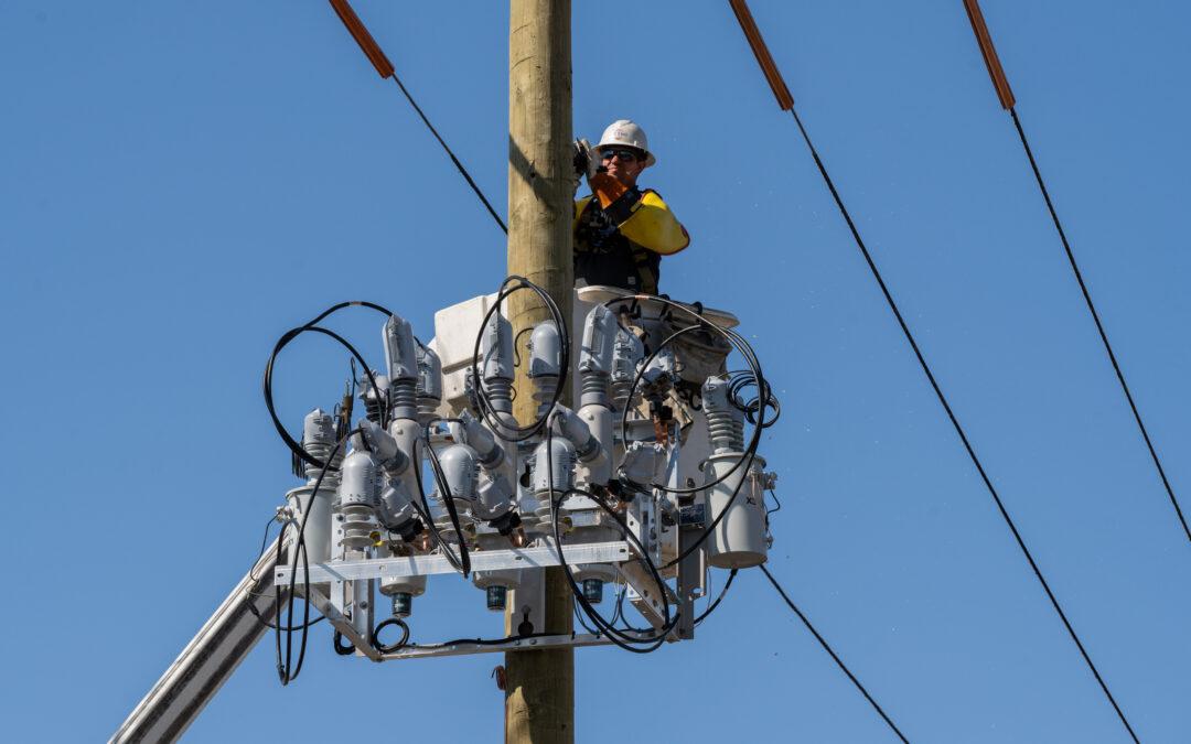 Enhancing safety, grid resiliency through reclosers
