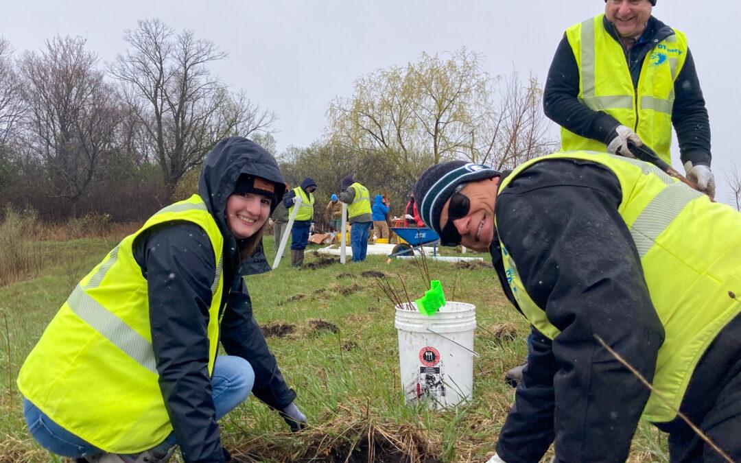 Restoring rivers and roots: Teamwork that’s helping Michigan’s ecosystem thrive