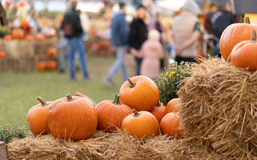 Ways to Celebrate Halloween Across Michigan
