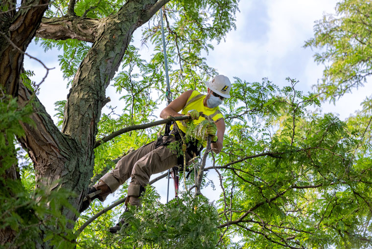 Overhead reliability work - Grosse Pointe Shores, Woods, Farms