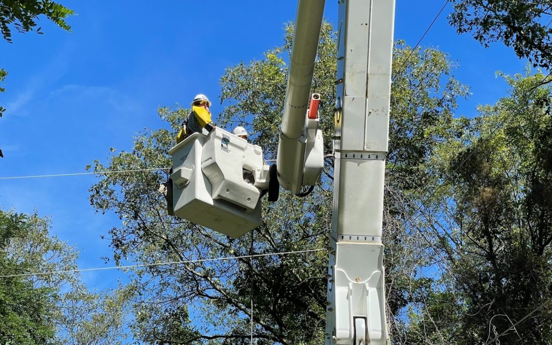 11/10 – New utility pole installed to support indoor trampoline park
