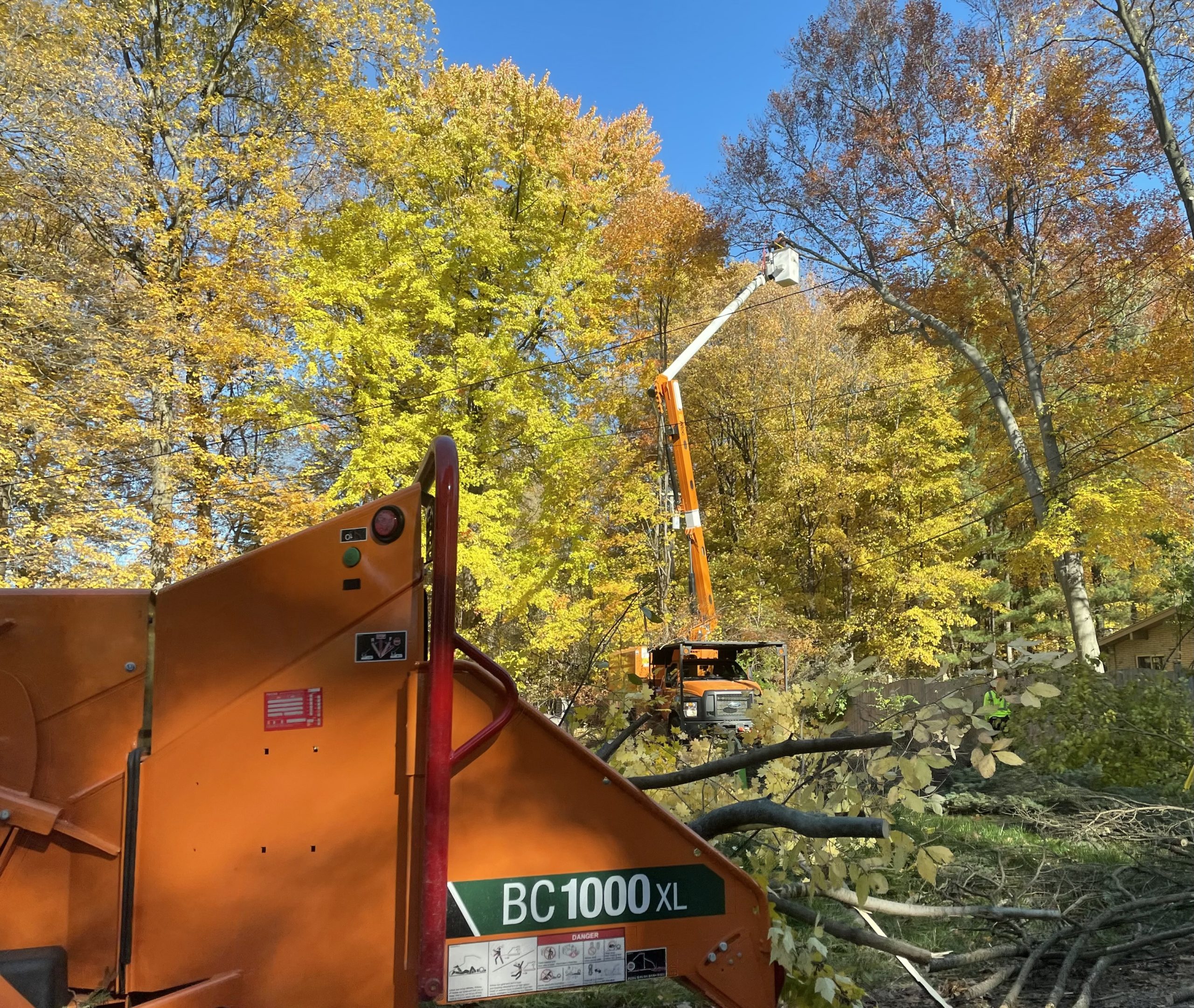 Tree trimming in Farmington neighborhood improves electric reliability ...