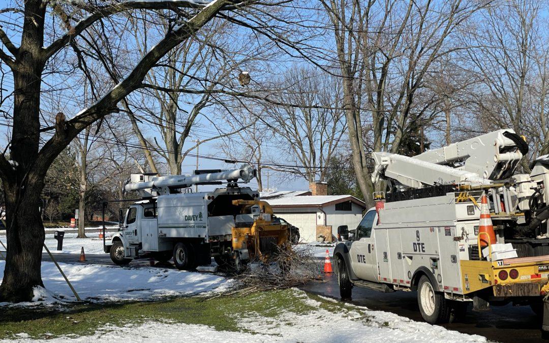 Line workers and tree trimmers improve reliability for customers in Southfield