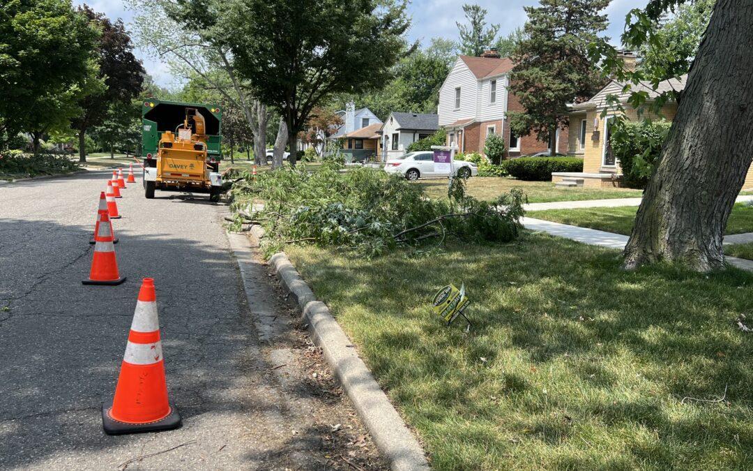 Tree trimming crews help prevent power disruptions