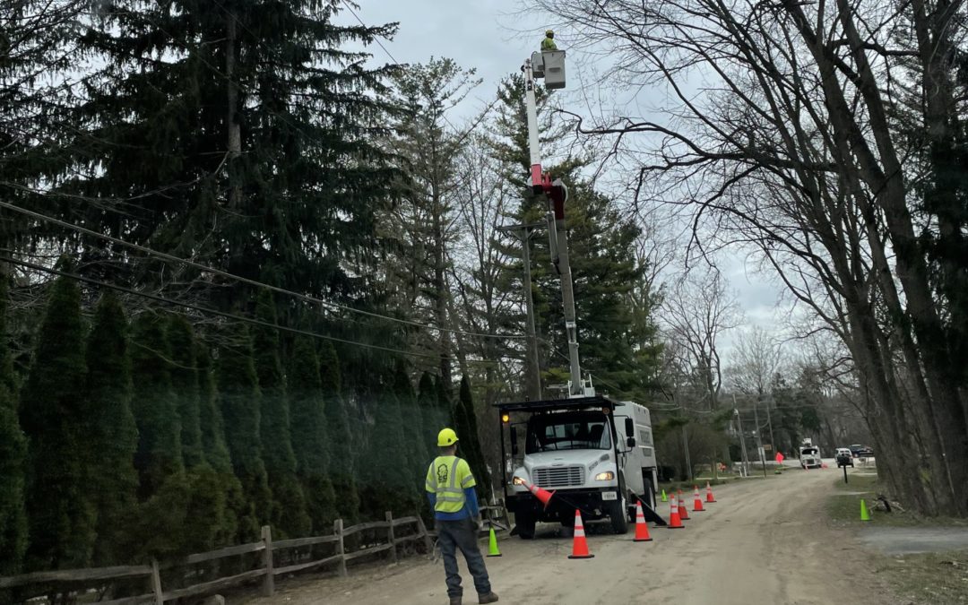 Tree trim crews work to improve reliability in West Bloomfield