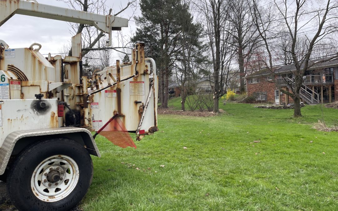 Tree trim crews improve the grid in Bloomfield Hills