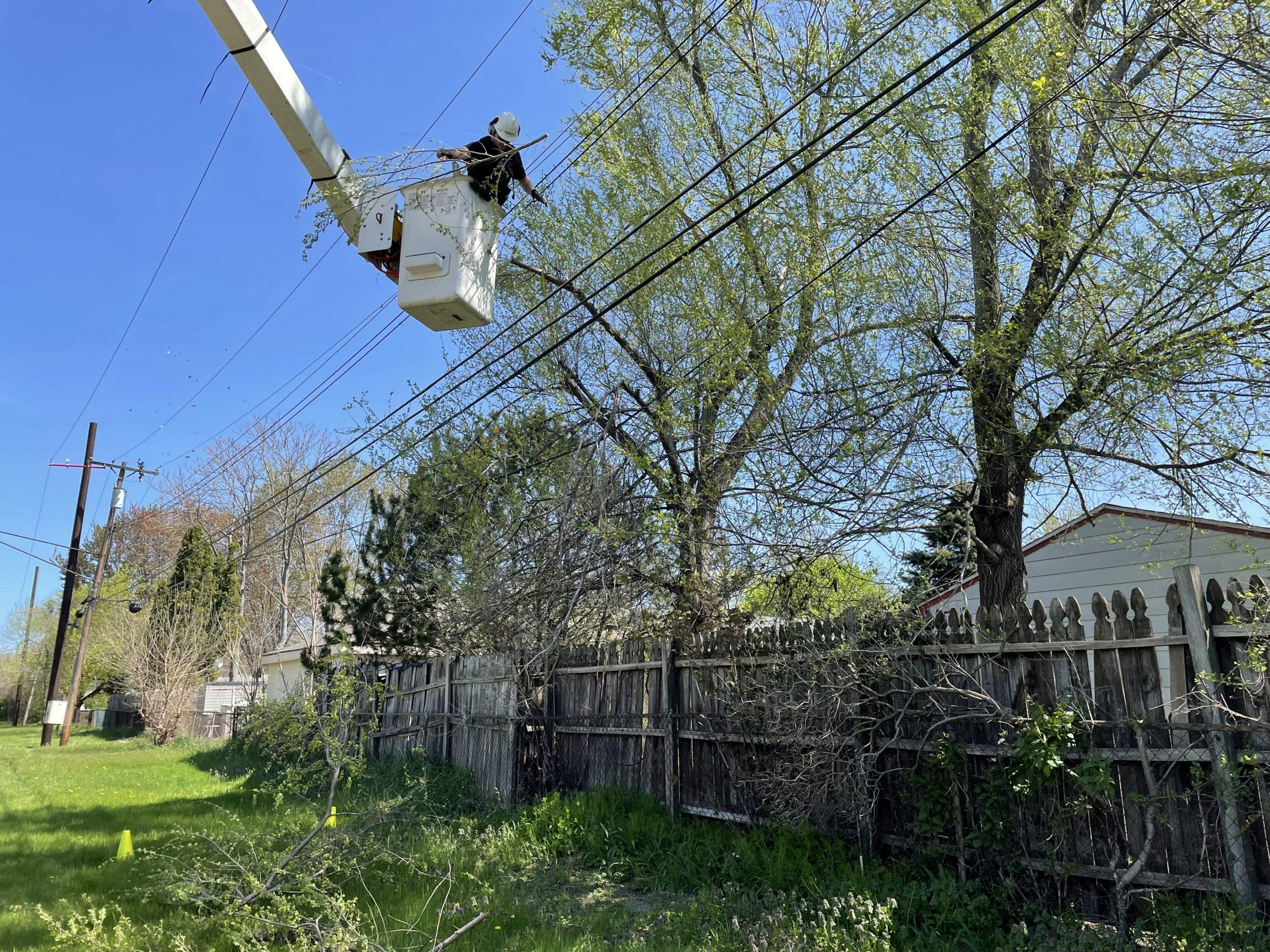 tree-trimmers-improve-reliability-in-westland-neighborhood-empowering