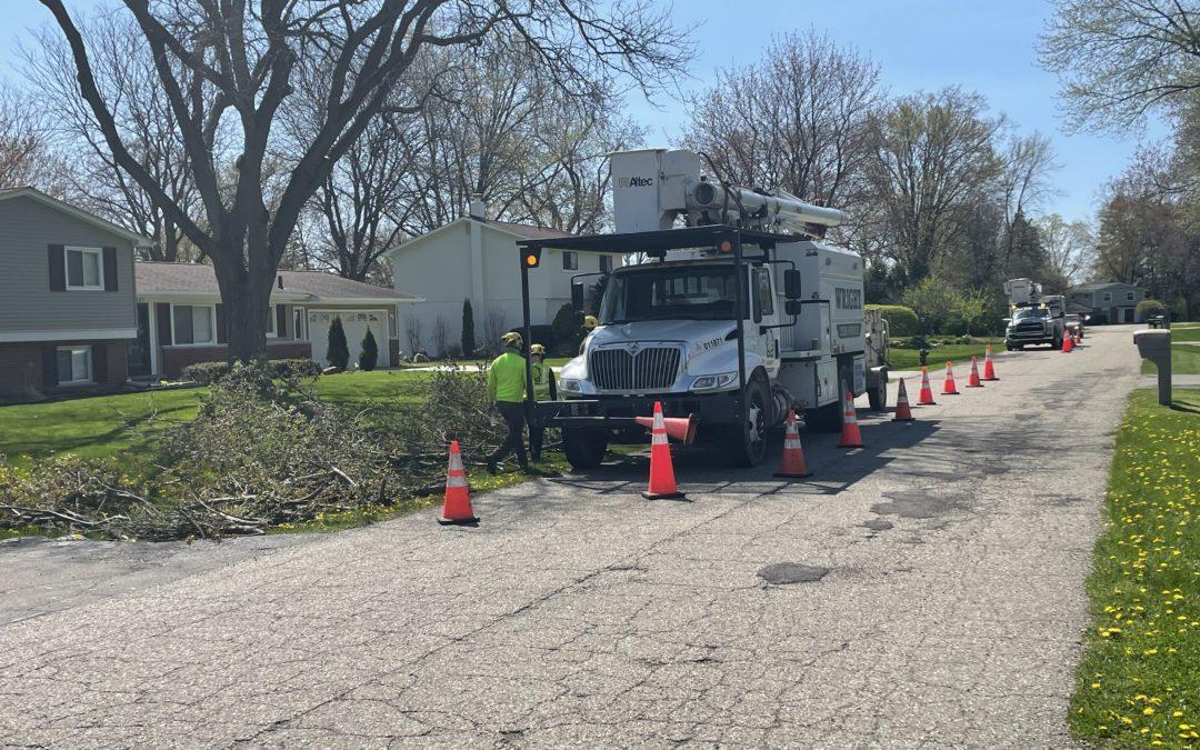 Tree trim crews work to improve reliability in West Bloomfield