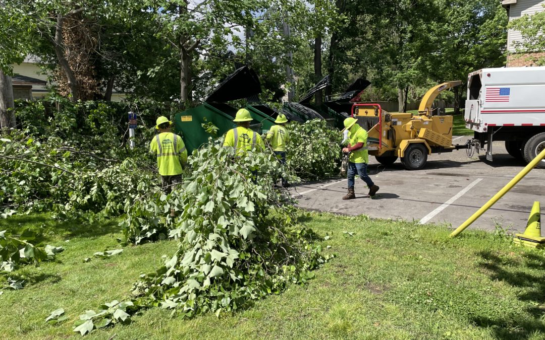 Tree trim crews improve reliability for Inkster customers