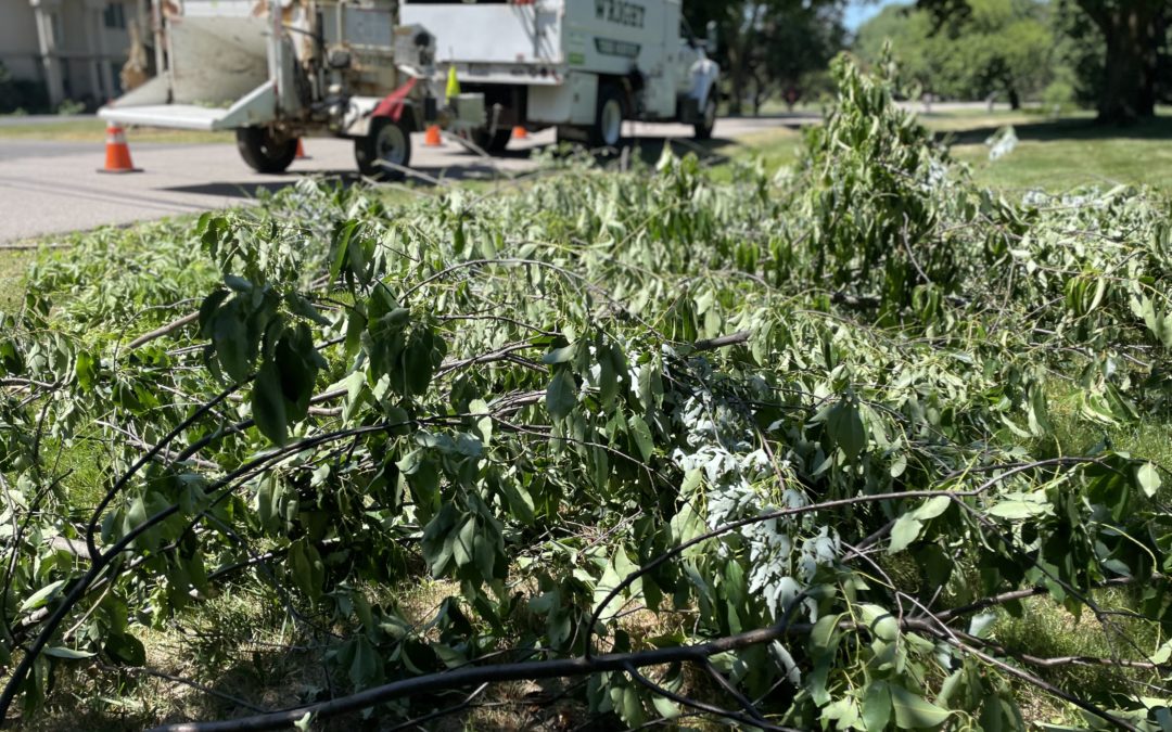 Tree trim crews improve	reliability in Bloomfield Township