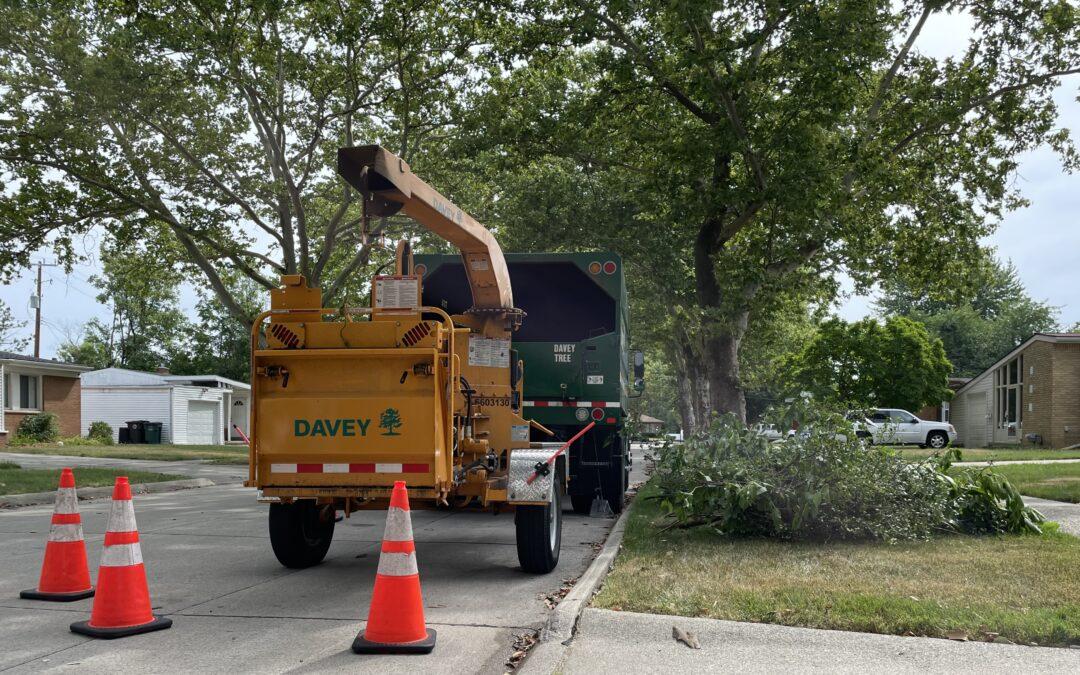Tree trimmers improve reliability in Oak Park neighborhood