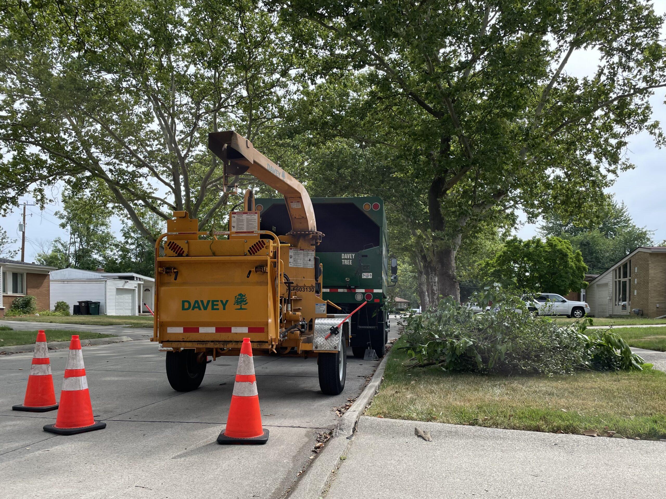 Tree trimmers improve reliability in Oak Park neighborhood - Empowering ...