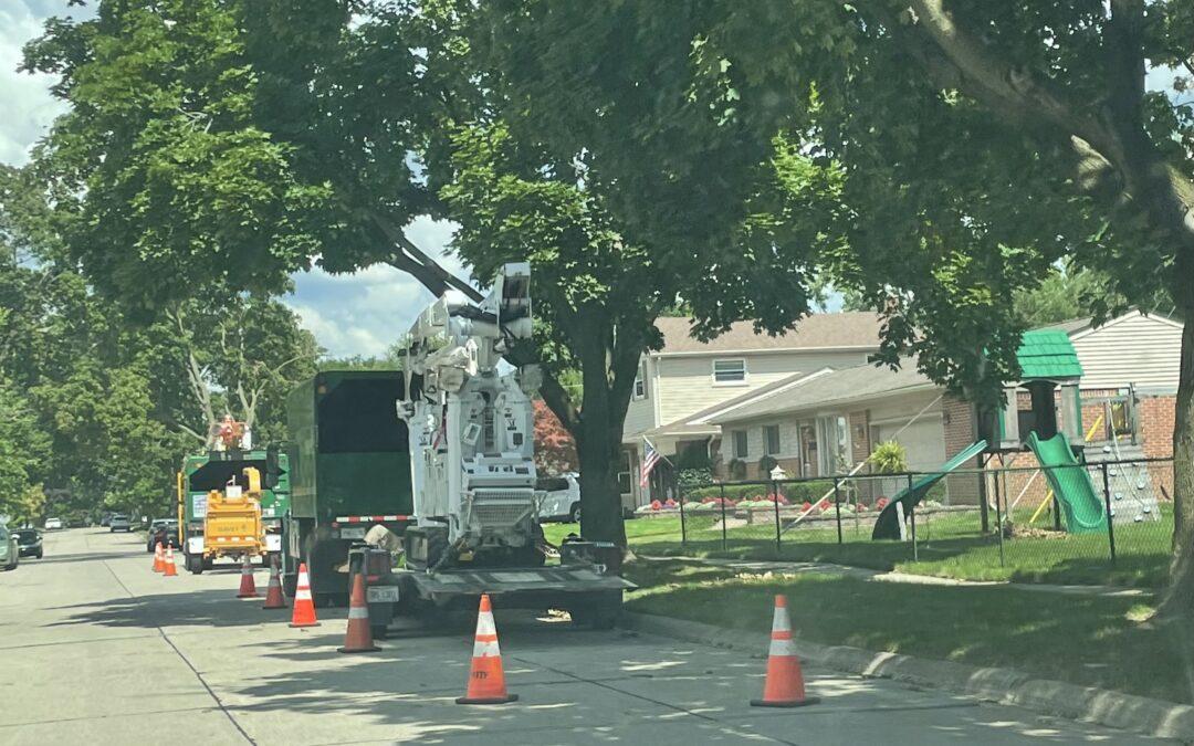 Tree trim crews continue reliability work in Livonia