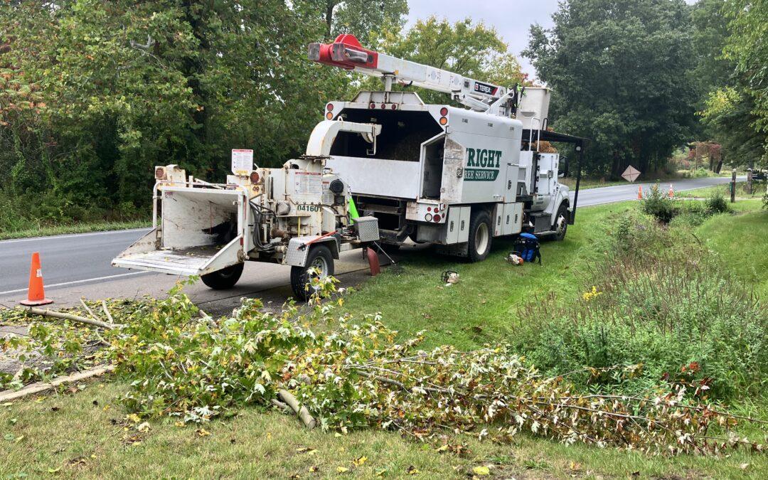 Crews tree trimming in Monroe county