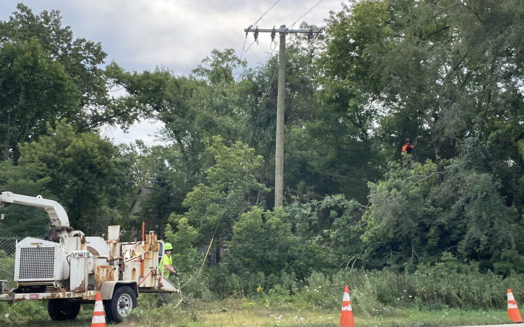 Tree trimmers improve reliability in West Bloomfield
