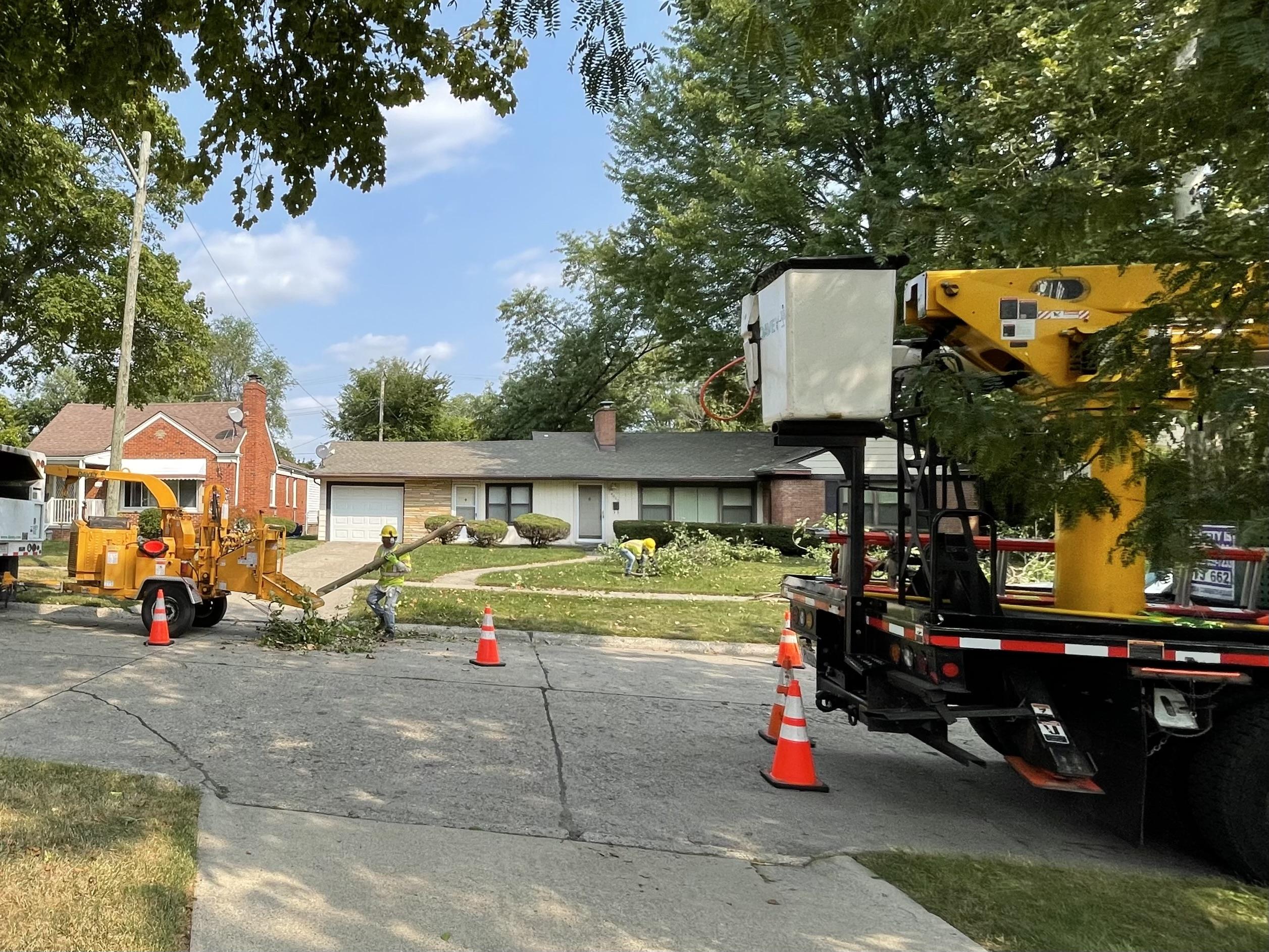 tree-trimmers-hard-at-work-in-oak-park-empowering-michigan