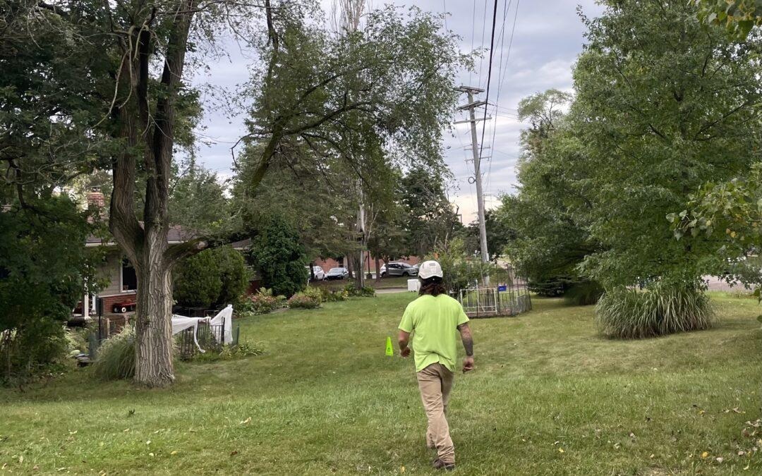 Tree trimmers improve reliability in Walled Lake