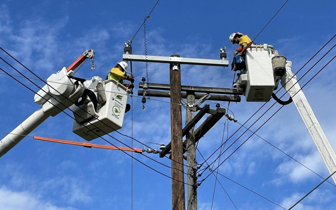 DTE crews install upgrades in Rose Township