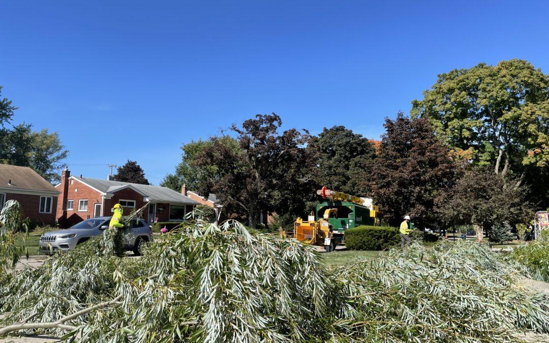 Tree trimmers improve reliability in Redford Township