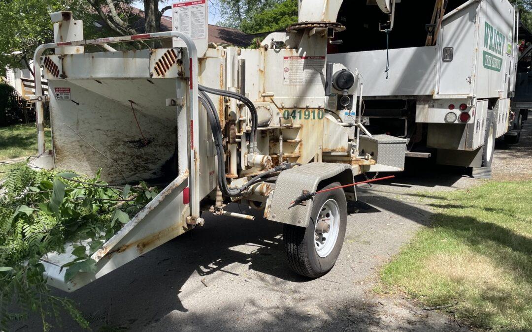 Tree trim crews work near downtown Birmingham