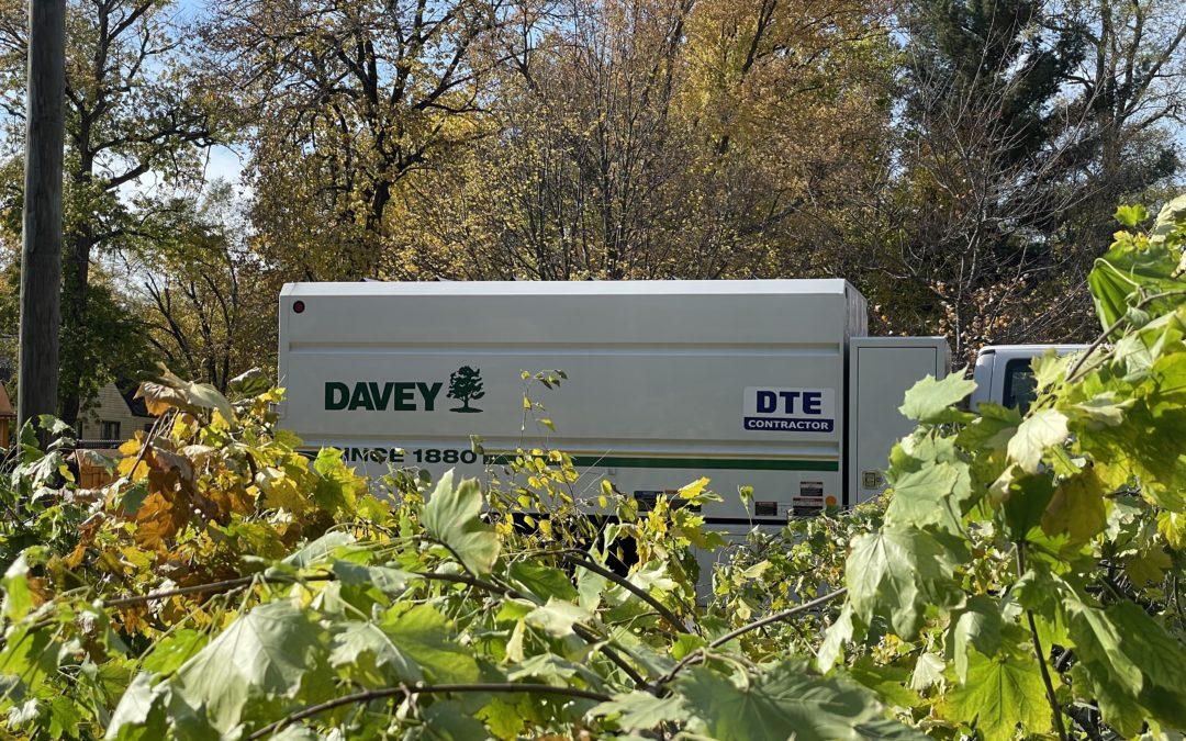 Tree trimmers improve reliability near Ramsey Park
