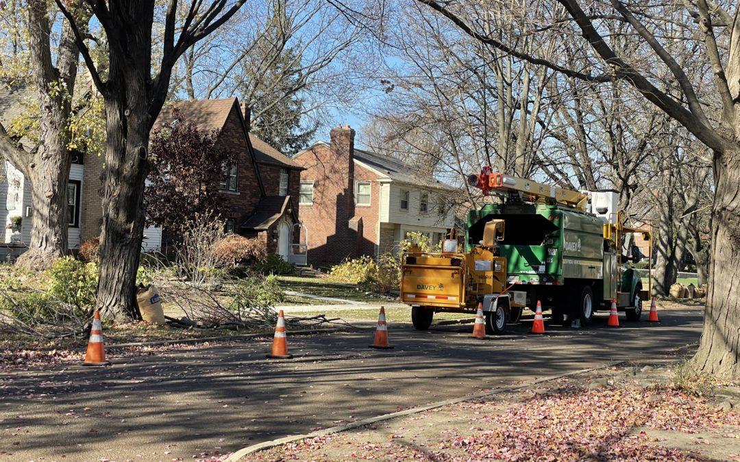 Tree trimmers improve reliability in the Grandmont neighborhood