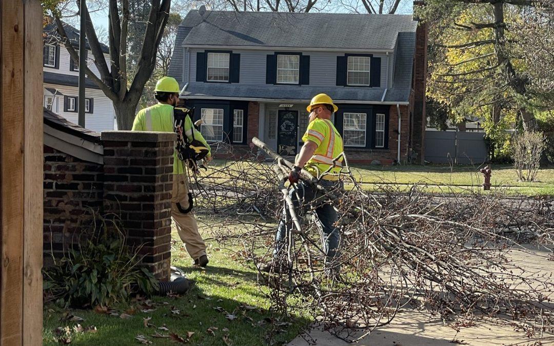 Tree trimmers improve reliability for Grandmont-Rosedale residents