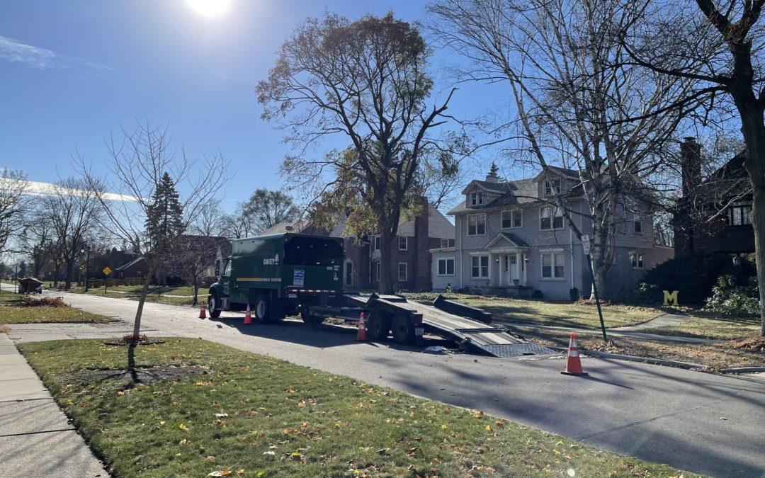 Tree trimmers hard at work improving Detroit reliability