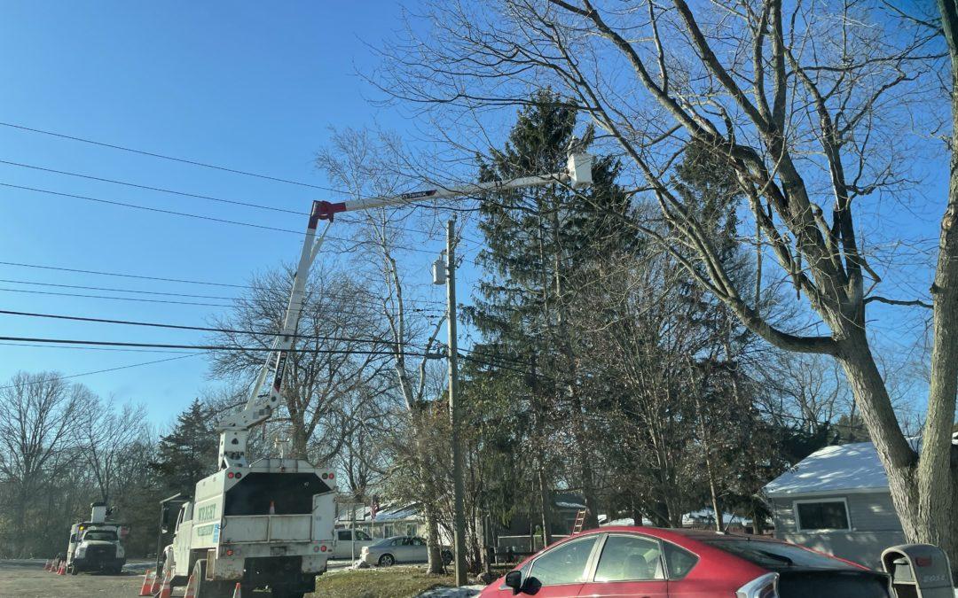 Tree trimming focus continues in West Bloomfield
