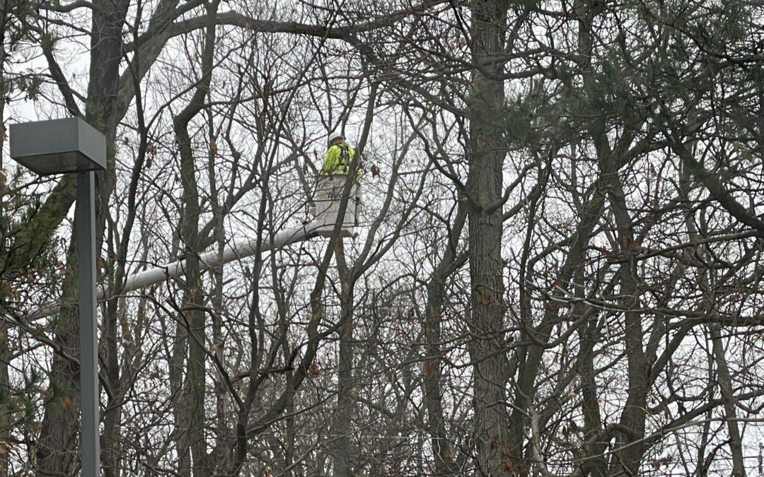Tree trim crews at work in Rochester Hills
