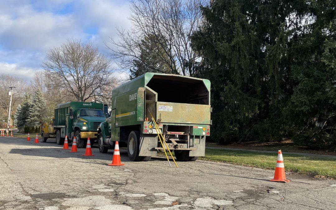 Tree trim crews continue work in Bloomfield Township