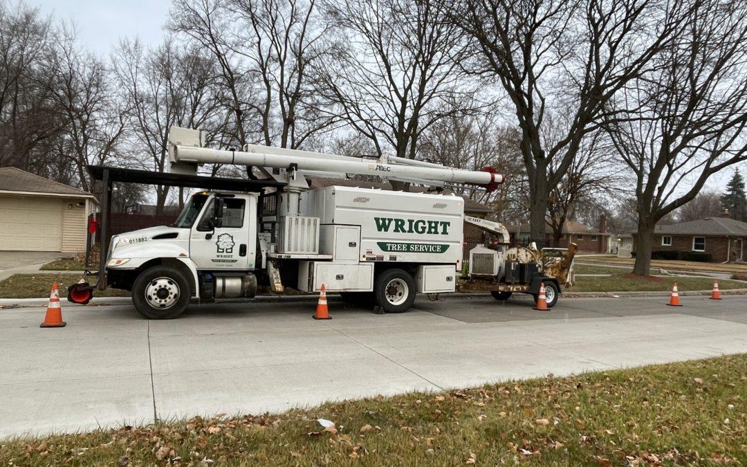 Tree trimmers improve reliability in Oak Park