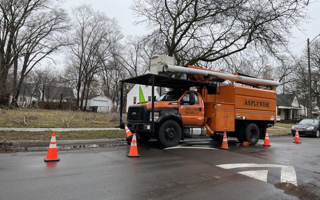 Tree trimmers help keep power flowing on Detroit’s West Side