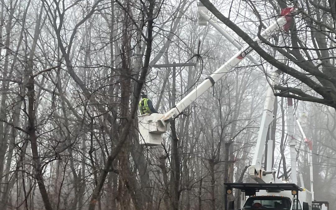 Tree trim crews work in Clarkston