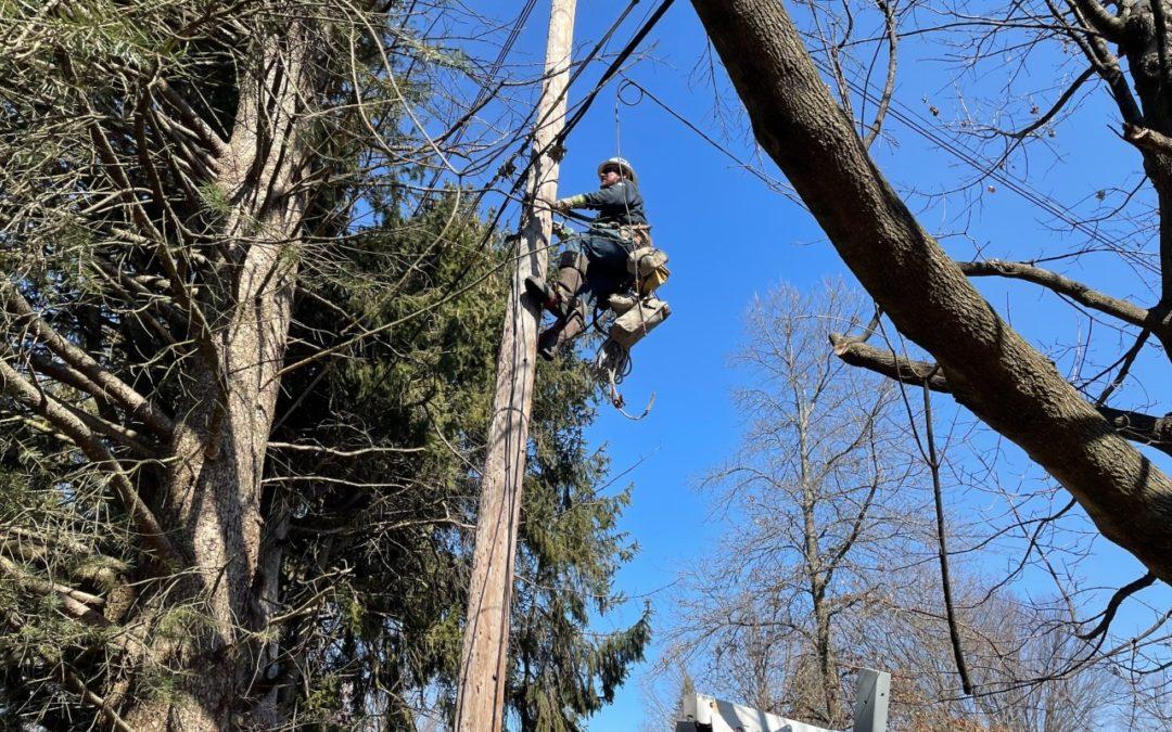 3/11 – DTE crews fix leaning pole in Livonia neighborhood