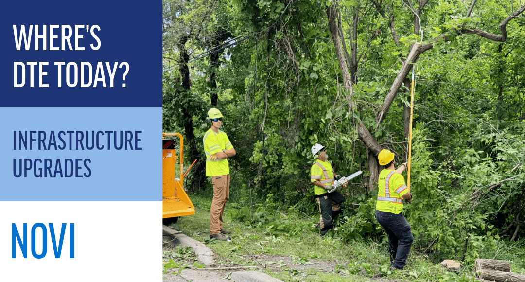 Tree trimming work improves electric reliability for Novi