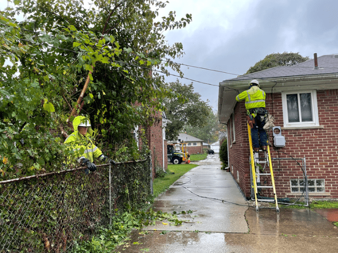 Tree trim crews work to prevent future outages in Oak Park