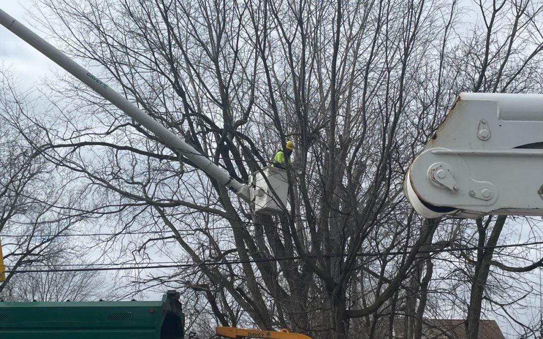 3/1 – DTE crews and tree trimmers work together to update equipment