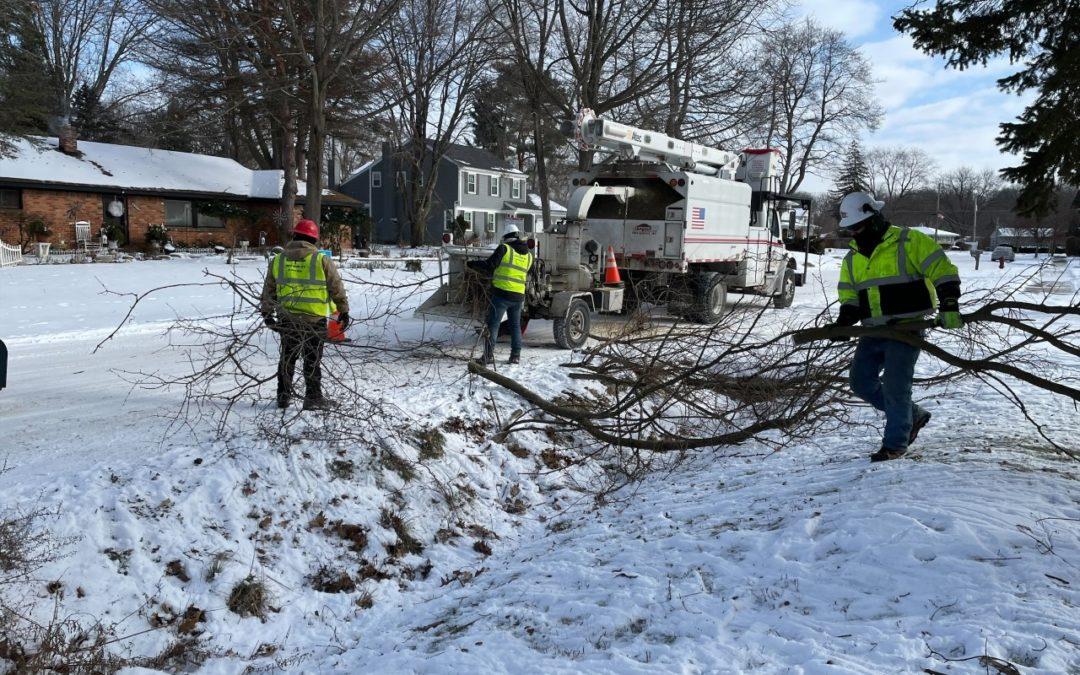 Winter weather doesn’t stop tree trimmers
